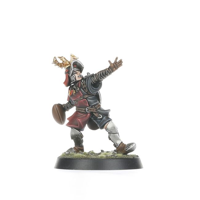 Bretonnian Blood Bowl Team: The Brionne Barons - view 3