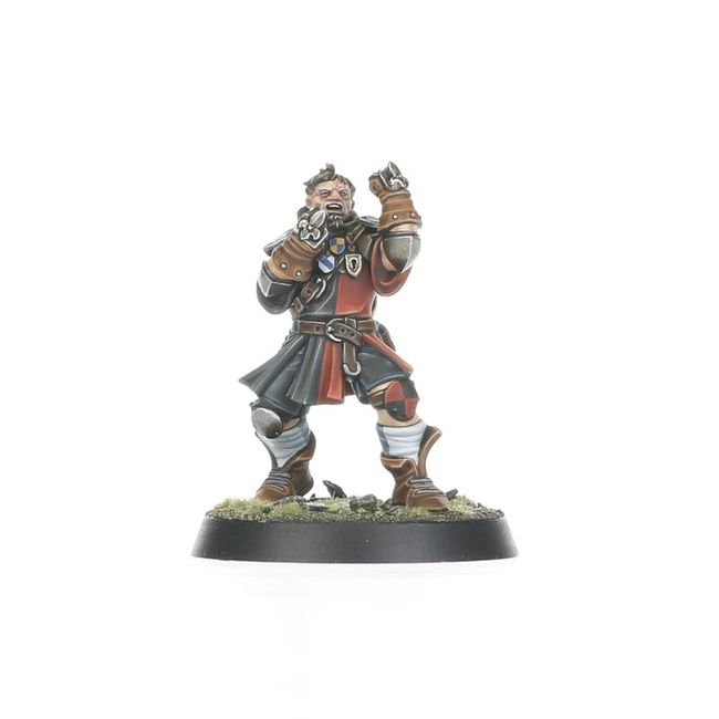 Bretonnian Blood Bowl Team: The Brionne Barons - view 5