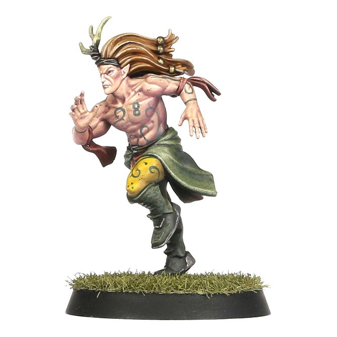 Wood Elf Blood Bowl Team Athelorn Avengers