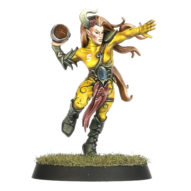 Wood Elf Blood Bowl Team – Athelorn Avengers - view 4