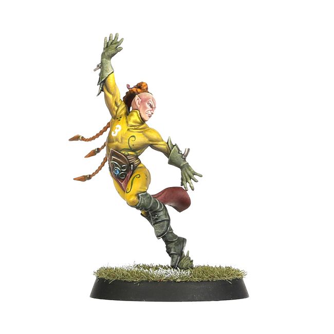 Wood Elf Blood Bowl Team – Athelorn Avengers - view 5