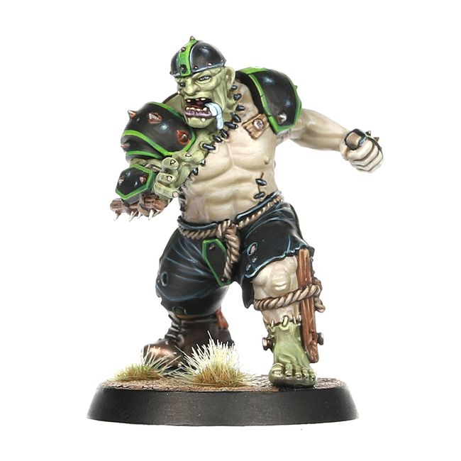 Necromantic Horror Blood Bowl Team – The Wolfenburg Crypt-stealers - view 2