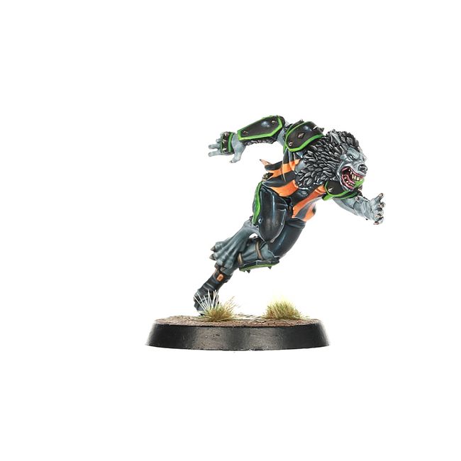 Necromantic Horror Blood Bowl Team – The Wolfenburg Crypt-stealers - view 3