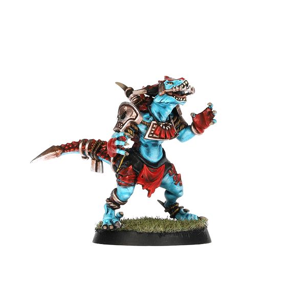 Lizardmen Blood Bowl Team – Gwaka'moli Crater Gators