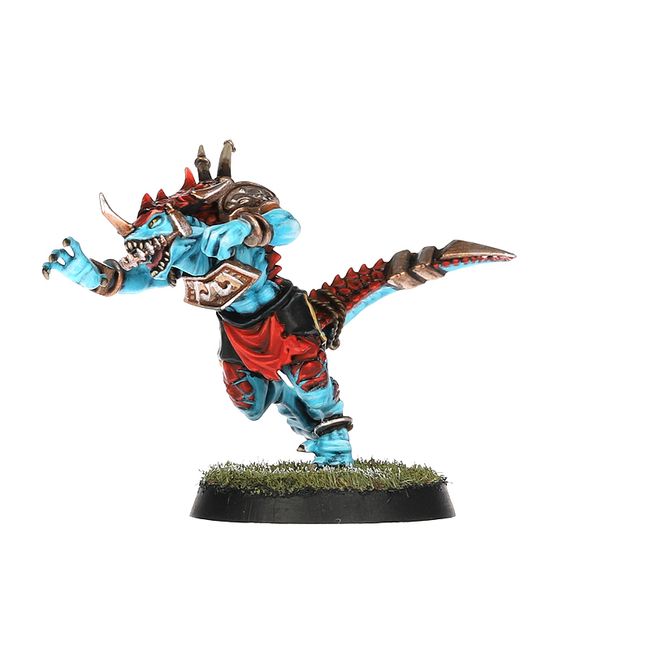 Lizardmen Blood Bowl Team – Gwaka'moli Crater Gators - view 4