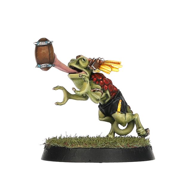 Lizardmen Blood Bowl Team – Gwaka'moli Crater Gators - view 5