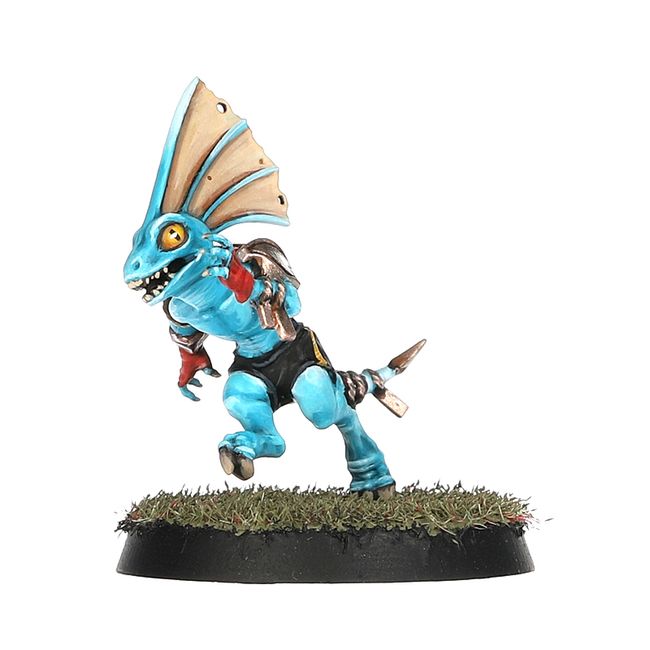 Lizardmen Blood Bowl Team – Gwaka'moli Crater Gators - view 7