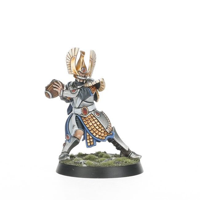 High Elf Blood Bowl Team: The Caledor Dragons - view 3