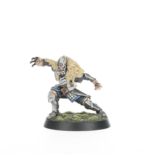 High Elf Blood Bowl Team: The Caledor Dragons