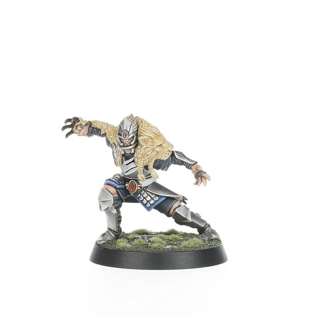 High Elf Blood Bowl Team: The Caledor Dragons - view 4
