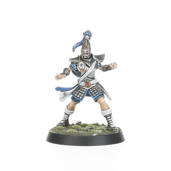 High Elf Blood Bowl Team: The Caledor Dragons