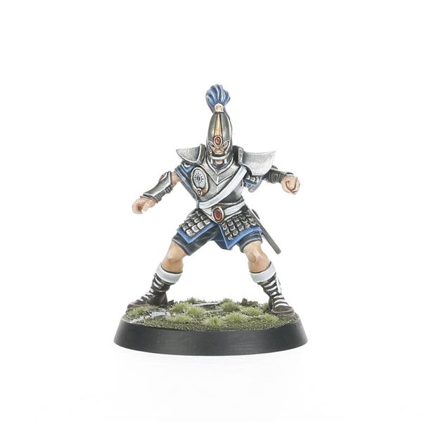 High Elf Blood Bowl Team: The Caledor Dragons