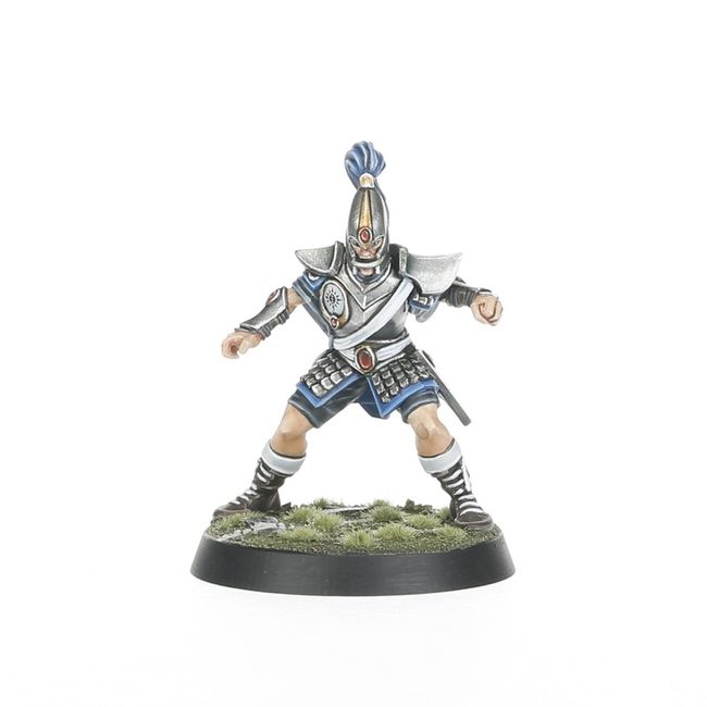 High Elf Blood Bowl Team: The Caledor Dragons - view 6