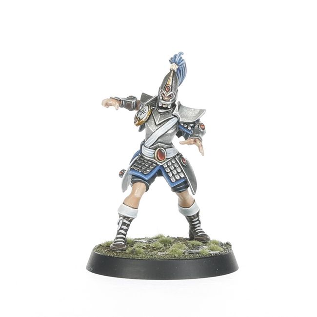 High Elf Blood Bowl Team: The Caledor Dragons - view 7