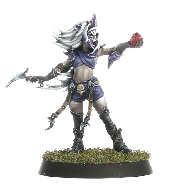 Dark Elf Blood Bowl Team – Naggaroth Nightmares - view 3