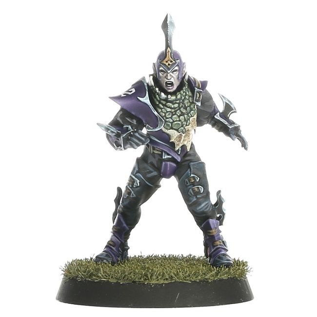 Dark Elf Blood Bowl Team – Naggaroth Nightmares - view 4