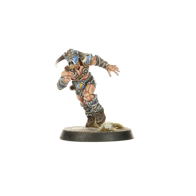 Norse Blood Bowl Team: Norsca Rampagers - view 3