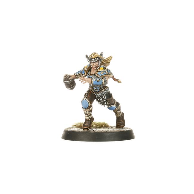 Norse Blood Bowl Team: Norsca Rampagers - view 4