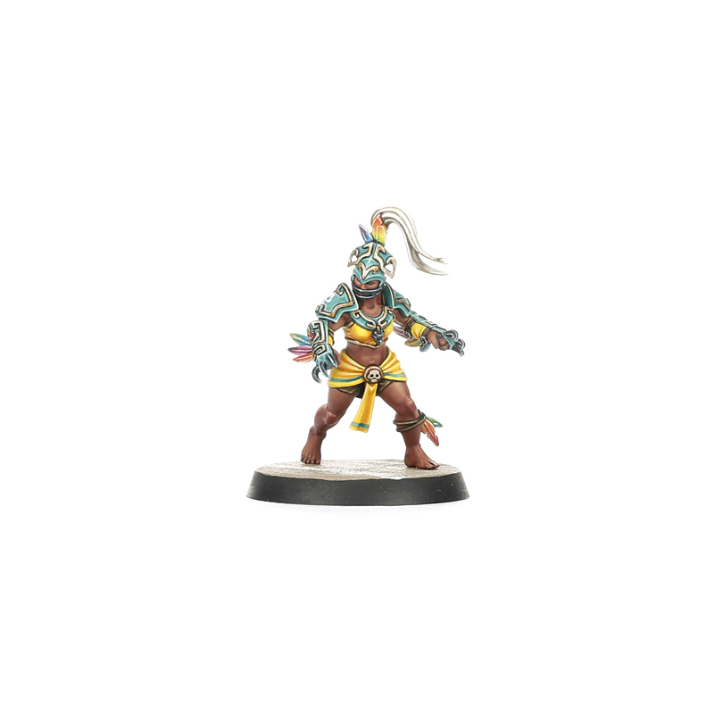Amazon Blood Bowl Team: Kara Temple Harpies