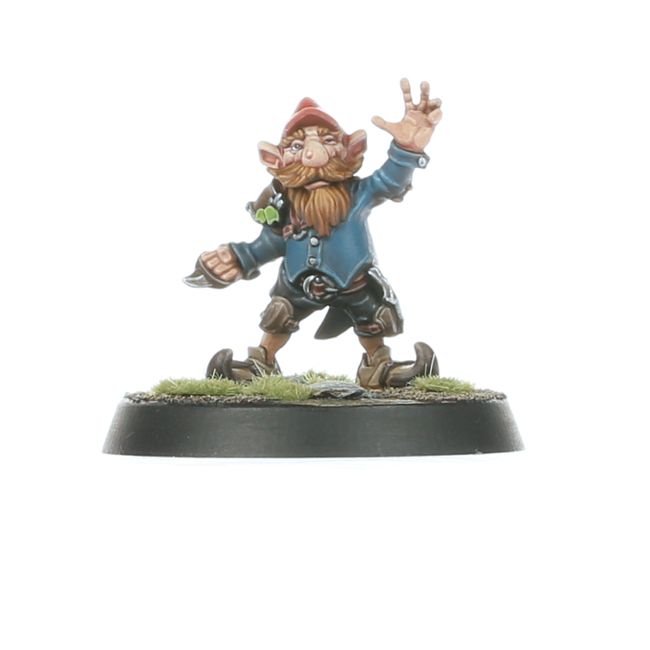 Gnome Blood Bowl Team: The Glimdwarrow Groundhogs - view 5