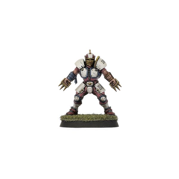 Old World Alliance Blood Bowl Team – The Middenheim Maulers