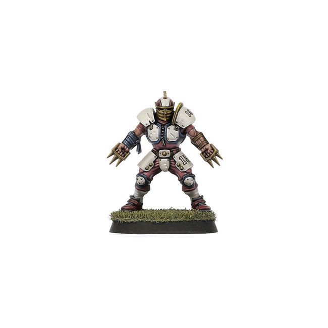 Old World Alliance Blood Bowl Team – The Middenheim Maulers - view 2