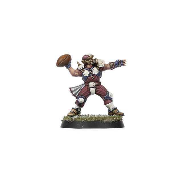 Old World Alliance Blood Bowl Team – The Middenheim Maulers - view 3