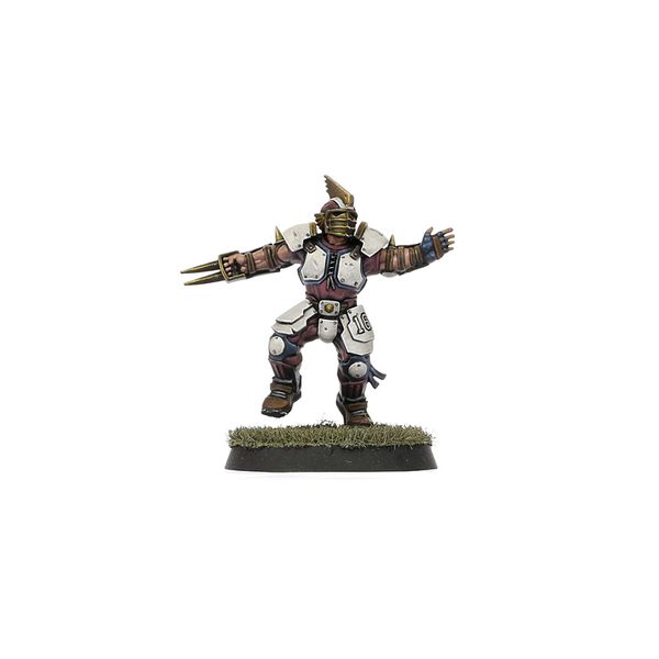 Old World Alliance Blood Bowl Team – The Middenheim Maulers