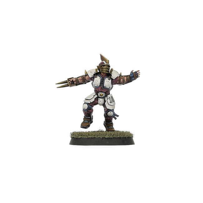 Old World Alliance Blood Bowl Team – The Middenheim Maulers - view 4