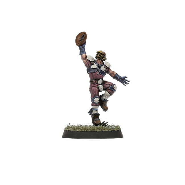 Old World Alliance Blood Bowl Team – The Middenheim Maulers - view 5