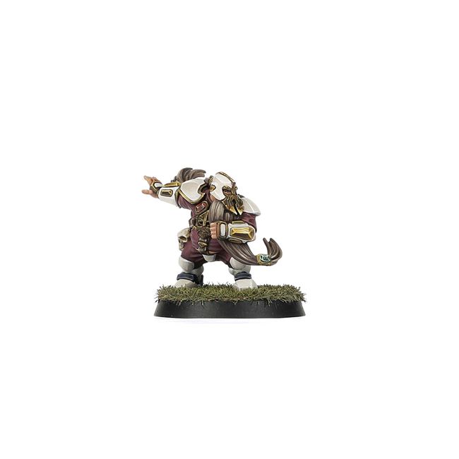 Old World Alliance Blood Bowl Team – The Middenheim Maulers - view 7