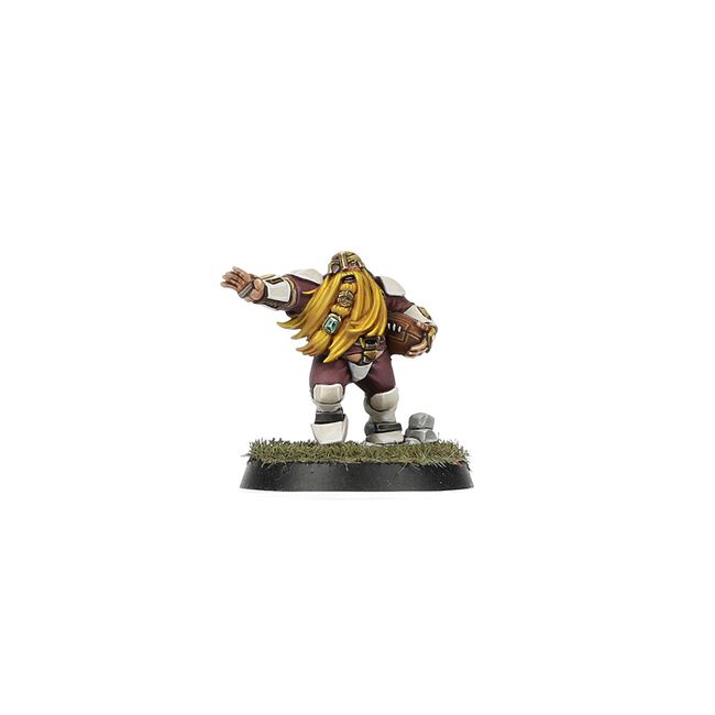 Old World Alliance Blood Bowl Team – The Middenheim Maulers - view 8