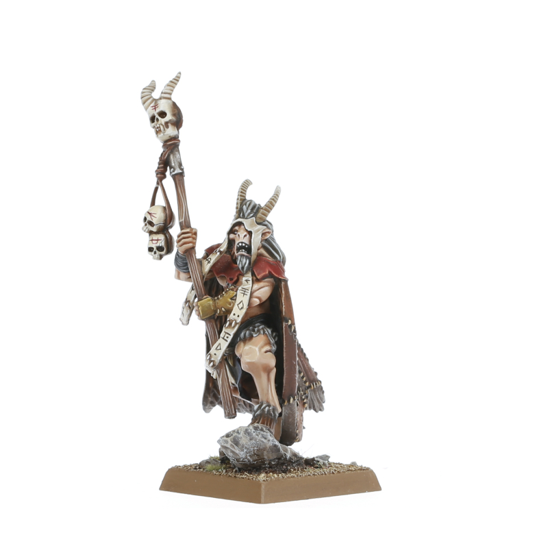 Warhammer Chamán シャーマン 01-02.jpg