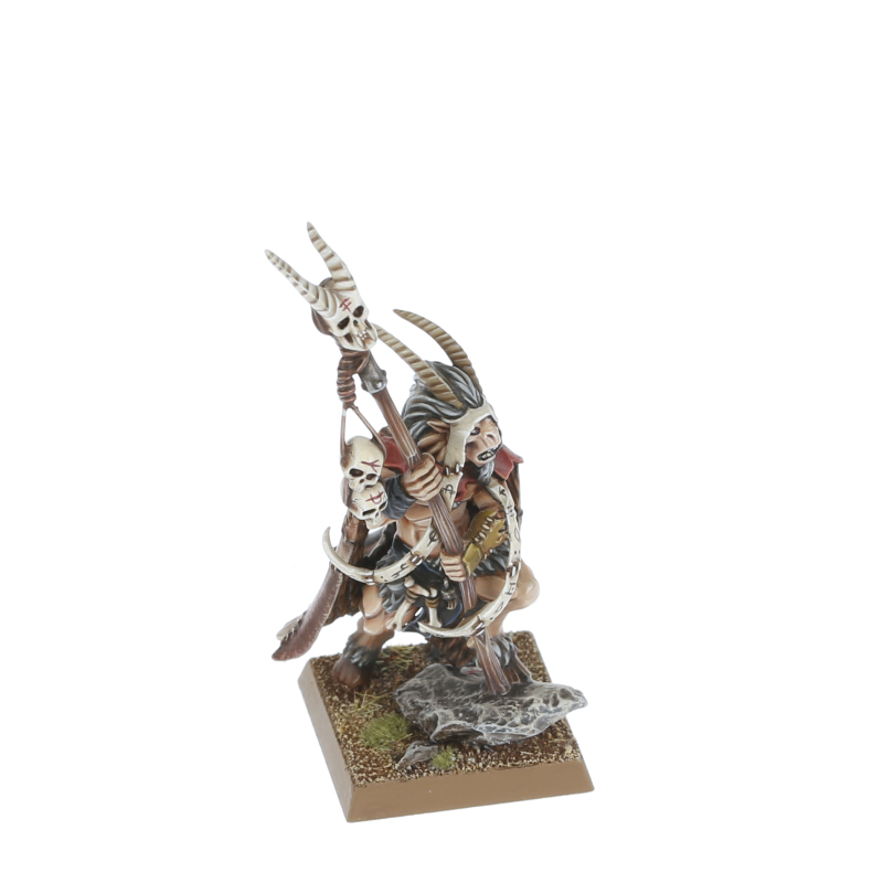 Warhammer Chamán シャーマン 01-02.jpg