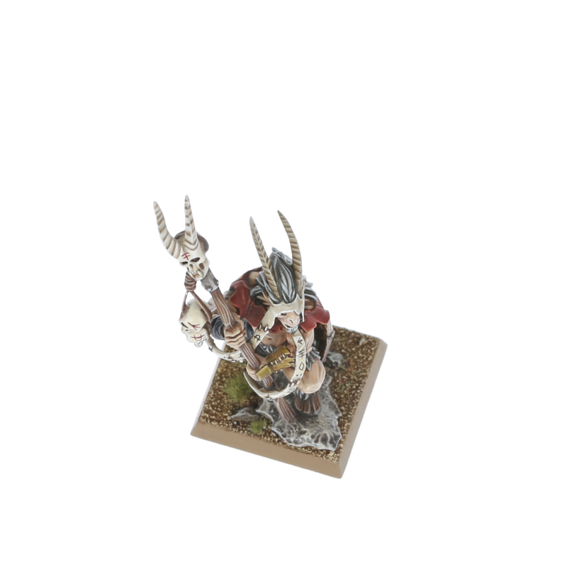 Warhammer Chamán シャーマン 99122716008_TOWBBChieftain01.jpg