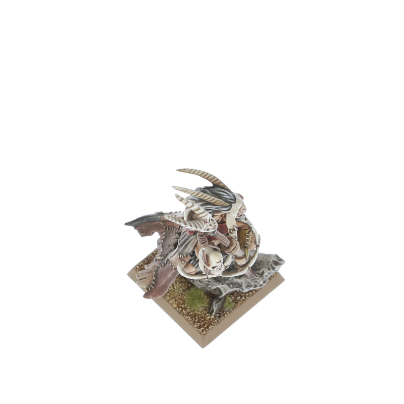 Warhammer Chamán シャーマン Amazon.com: Games Workshop Tzaangor Shaman