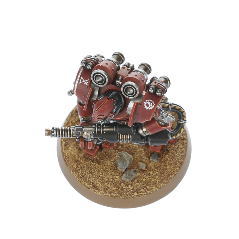 Thallax Cohort