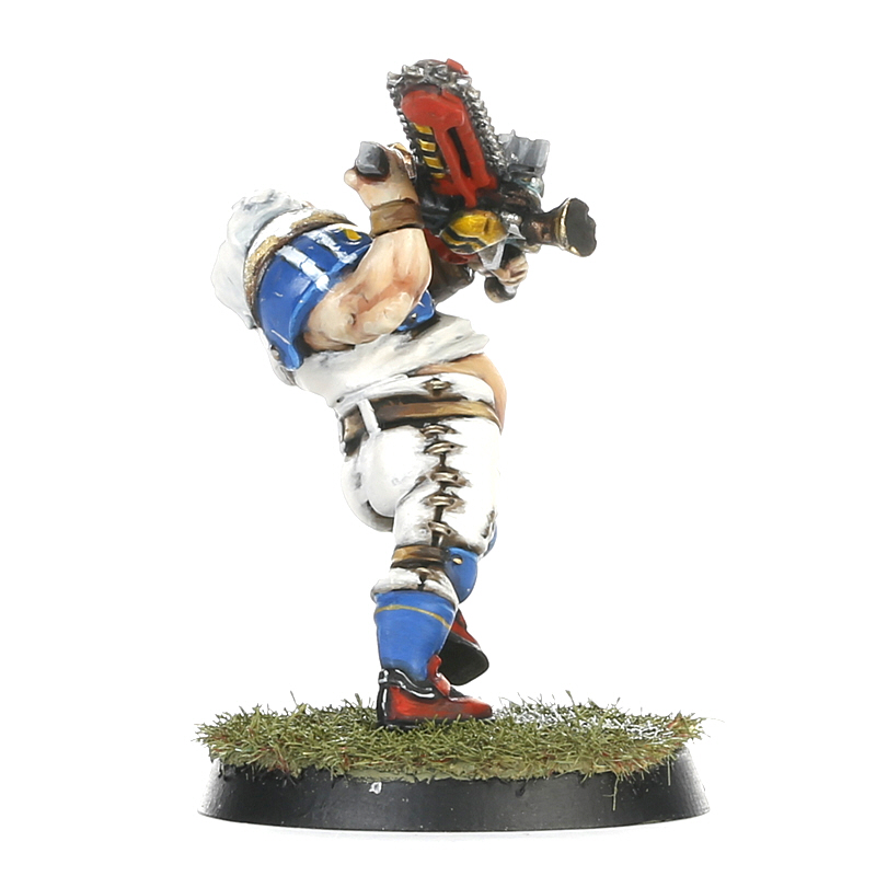 Blood bowl set ウォーハンマー 30.jpg