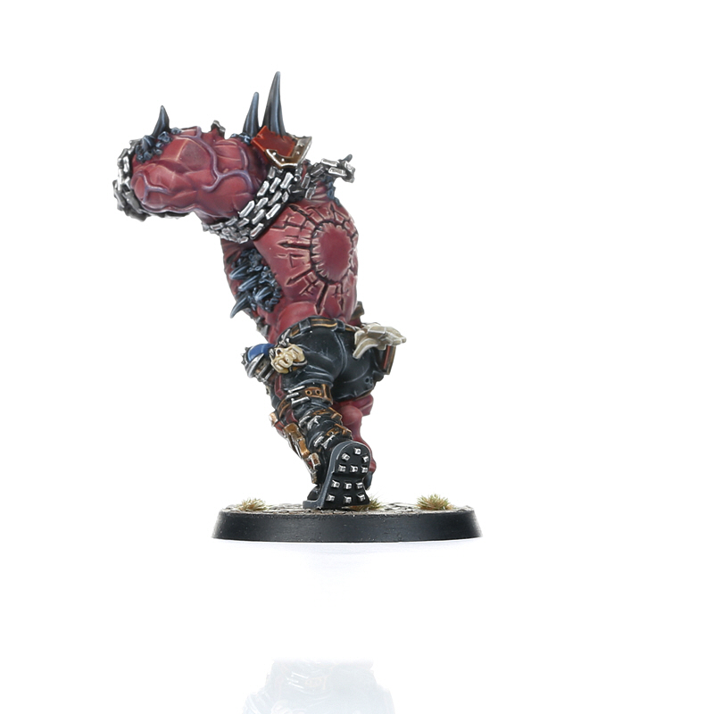 Blood bowl set ウォーハンマー 01-05.jpg