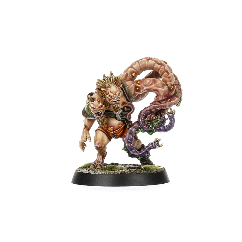 Blood bowl set ウォーハンマー Withergrasp Doubledrool