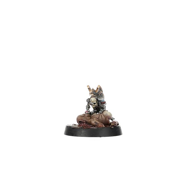 Mercator Pallidus Corpse Harvesting Party - view 6