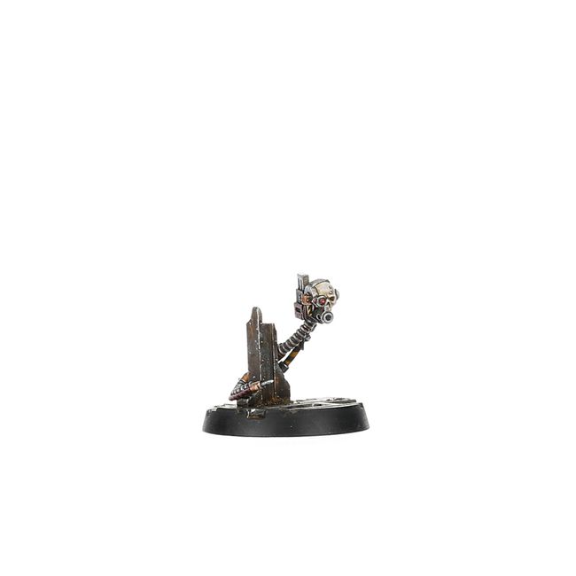 Mercator Pallidus Corpse Harvesting Party - view 7