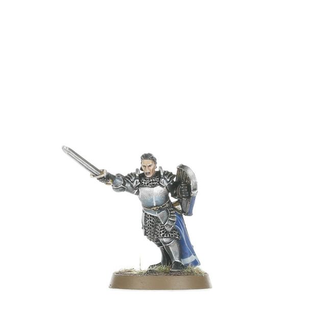 Foot Knights of Dol Amroth™ - view 2